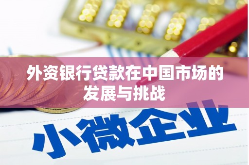 板桥外资银行贷款在中国市场的发展与挑战