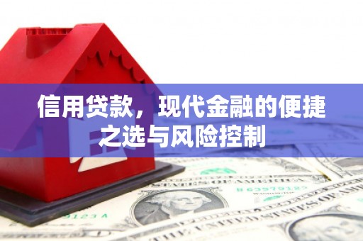 板桥信用贷款，现代金融的便捷之选与风险控制