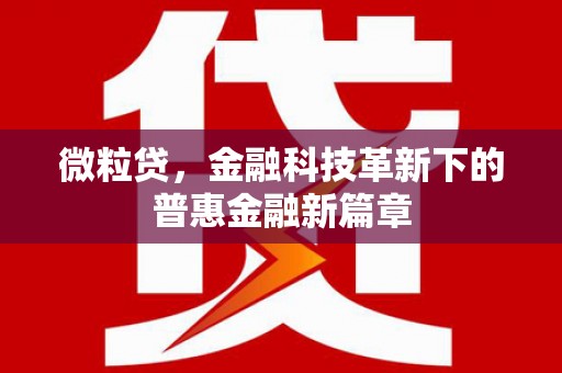 板桥微粒贷，金融科技革新下的普惠金融新篇章