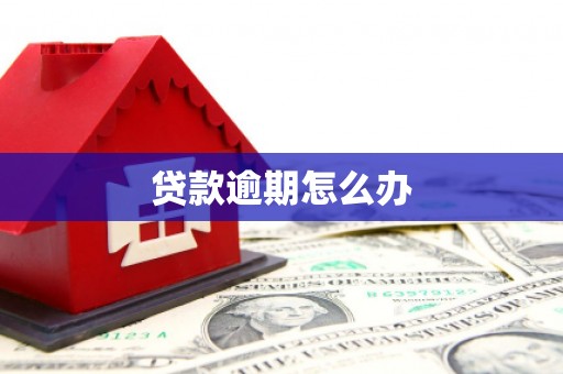 板桥贷款逾期怎么办