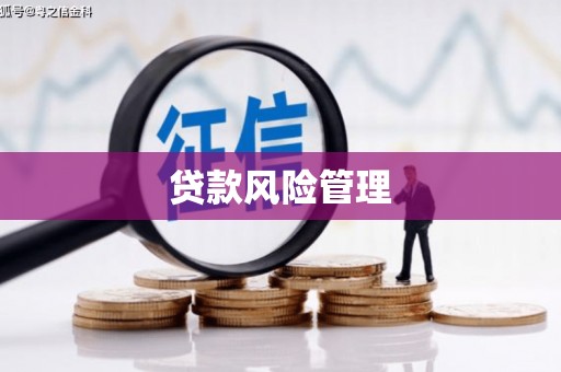 板桥贷款风险管理