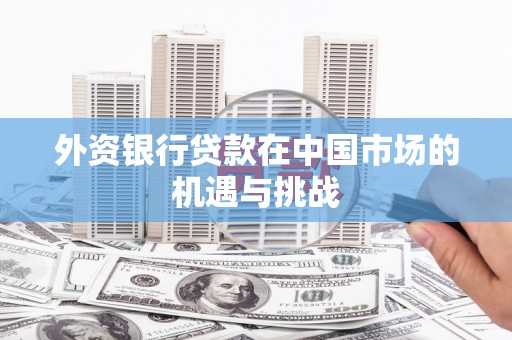 板桥外资银行贷款在中国市场的机遇与挑战
