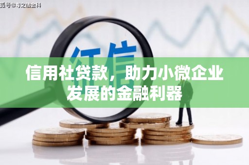 板桥信用社贷款，助力小微企业发展的金融利器