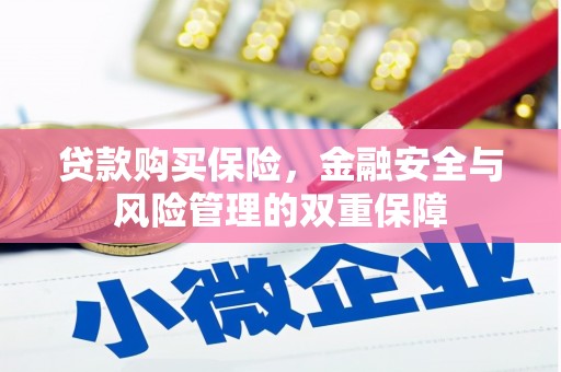 板桥贷款购买保险，金融安全与风险管理的双重保障