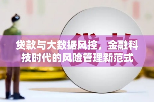 板桥贷款与大数据风控，金融科技时代的风险管理新范式