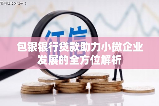 板桥包银银行贷款助力小微企业发展的全方位解析