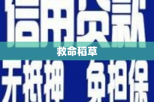 板桥救命稻草