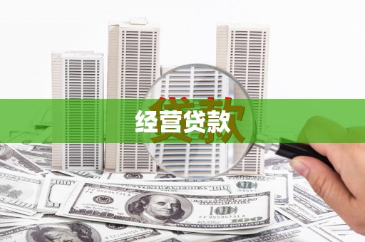 板桥经营贷款
