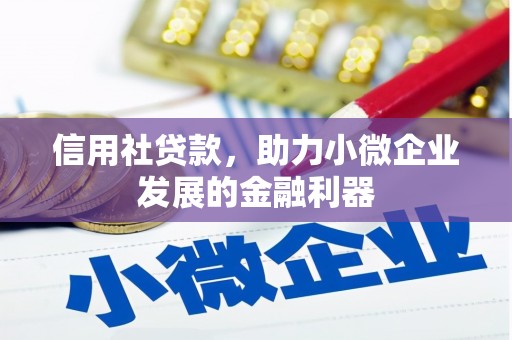 板桥信用社贷款，助力小微企业发展的金融利器