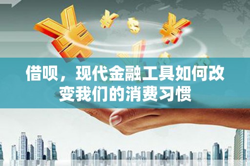 板桥借呗，现代金融工具如何改变我们的消费习惯