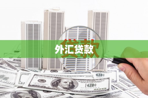 板桥外汇贷款