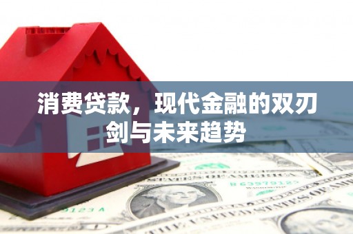 板桥消费贷款，现代金融的双刃剑与未来趋势