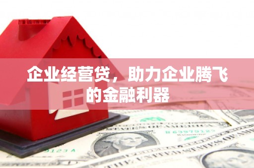 板桥企业经营贷，助力企业腾飞的金融利器