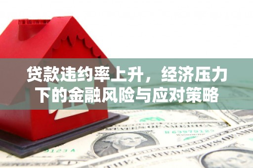 板桥贷款违约率上升，经济压力下的金融风险与应对策略