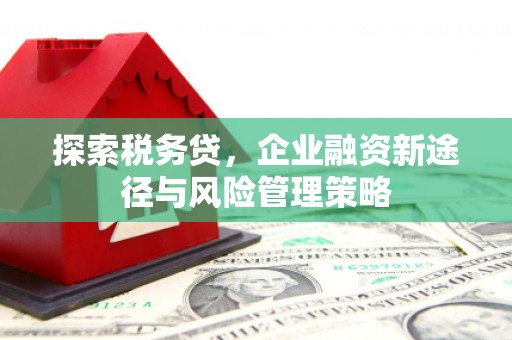板桥探索税务贷，企业融资新途径与风险管理策略