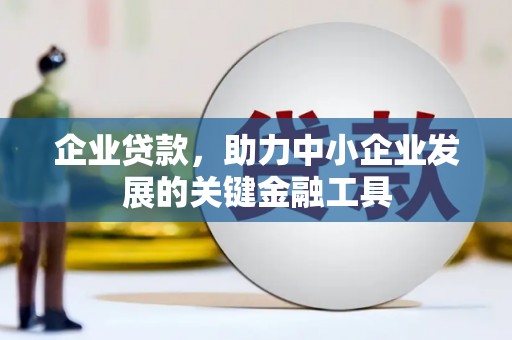 板桥企业贷款，助力中小企业发展的关键金融工具