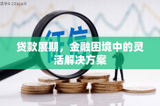 板桥贷款展期，金融困境中的灵活解决方案