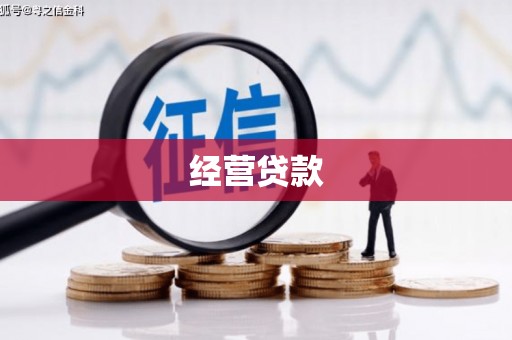 板桥经营贷款