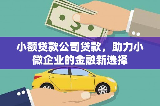 板桥小额贷款公司贷款，助力小微企业的金融新选择