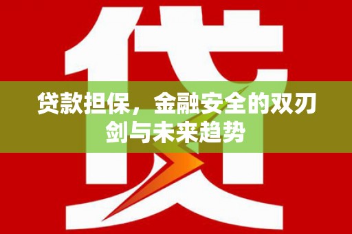 板桥贷款担保，金融安全的双刃剑与未来趋势