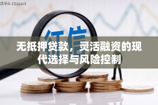 板桥无抵押贷款，灵活融资的现代选择与风险控制