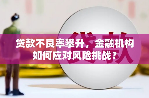 板桥贷款不良率攀升，金融机构如何应对风险挑战？