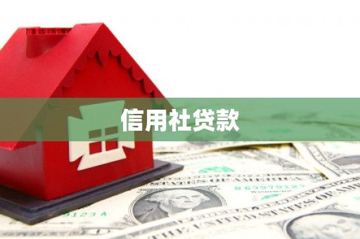 板桥信用社贷款