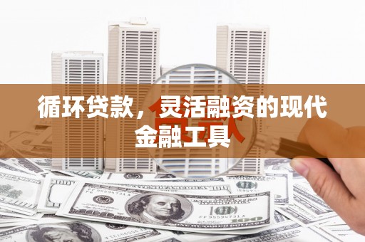 板桥循环贷款，灵活融资的现代金融工具