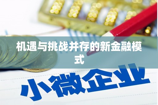 板桥机遇与挑战并存的新金融模式
