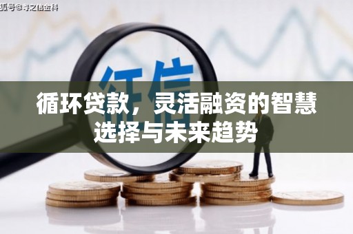 板桥循环贷款，灵活融资的智慧选择与未来趋势