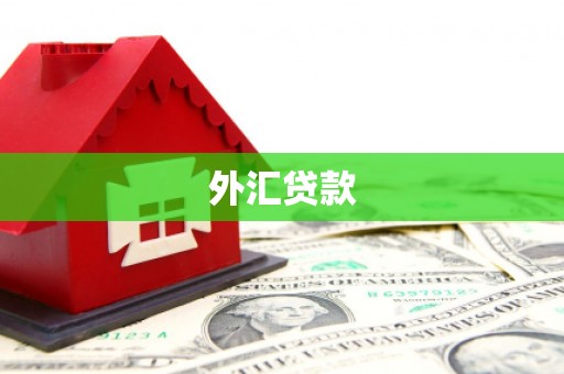 板桥外汇贷款