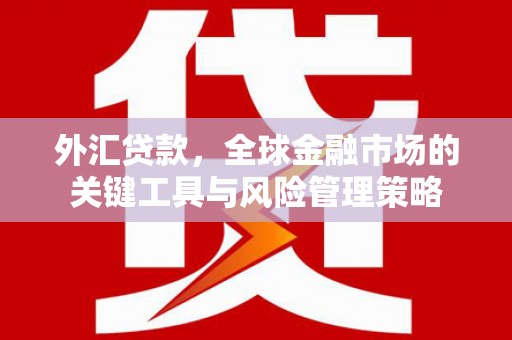 板桥外汇贷款，全球金融市场的关键工具与风险管理策略