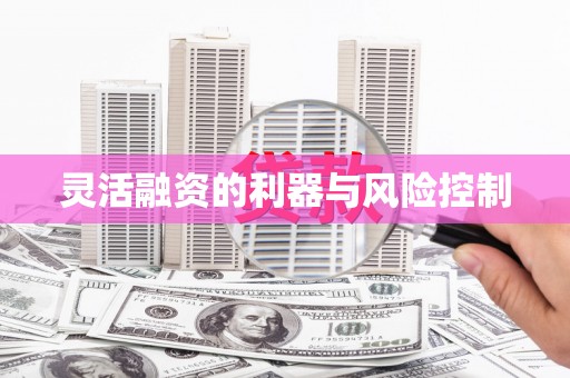 板桥灵活融资的利器与风险控制