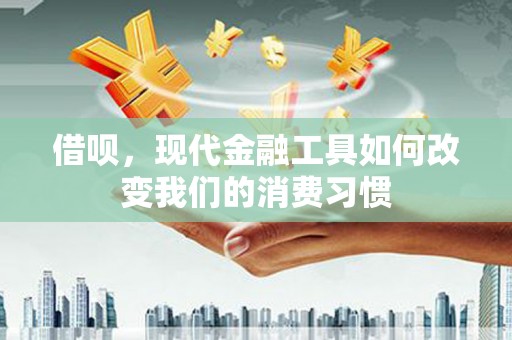 板桥借呗，现代金融工具如何改变我们的消费习惯