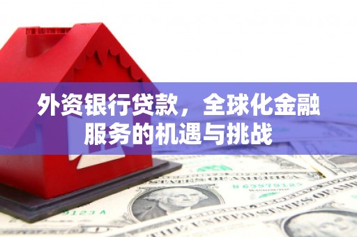 板桥外资银行贷款，全球化金融服务的机遇与挑战