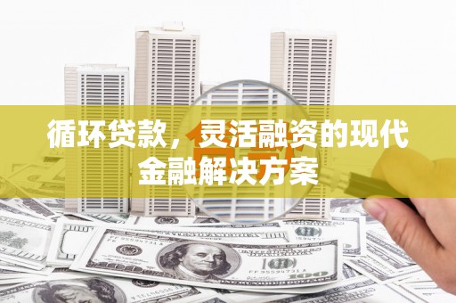 板桥循环贷款，灵活融资的现代金融解决方案