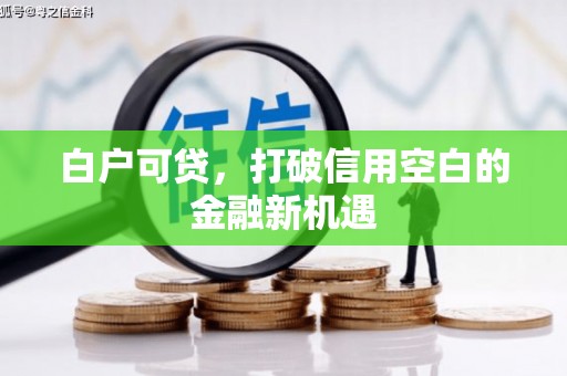 板桥白户可贷，打破信用空白的金融新机遇