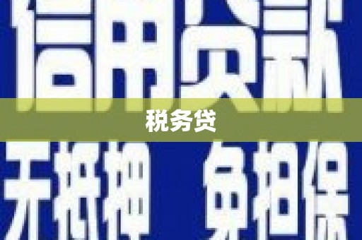 板桥税务贷