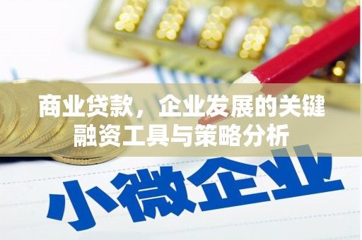板桥商业贷款，企业发展的关键融资工具与策略分析