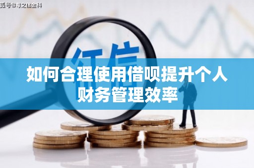 板桥如何合理使用借呗提升个人财务管理效率