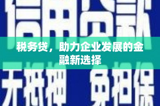 板桥税务贷，助力企业发展的金融新选择