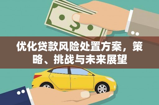 板桥优化贷款风险处置方案，策略、挑战与未来展望