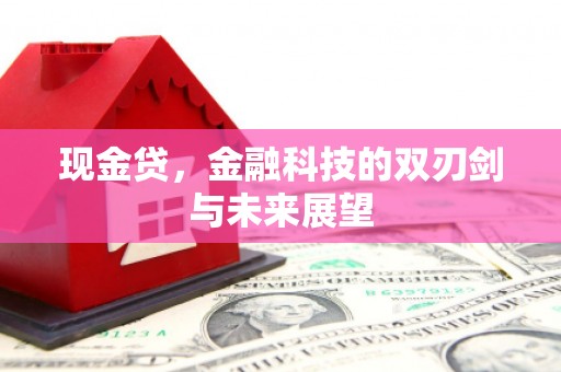 板桥现金贷，金融科技的双刃剑与未来展望