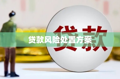 板桥贷款风险处置方案
