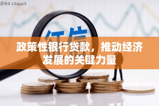 板桥政策性银行贷款，推动经济发展的关键力量