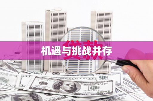板桥机遇与挑战并存