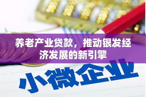 板桥养老产业贷款，推动银发经济发展的新引擎