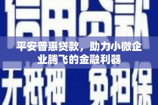 板桥平安普惠贷款，助力小微企业腾飞的金融利器