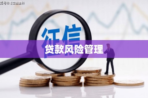 板桥贷款风险管理