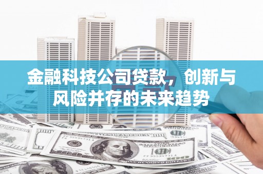 板桥金融科技公司贷款，创新与风险并存的未来趋势
